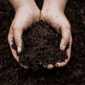 benefits of fulvic and humic acid