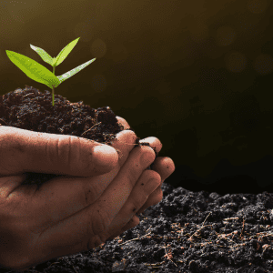 Humic and Fulvic Acid Benefits for the Environment
