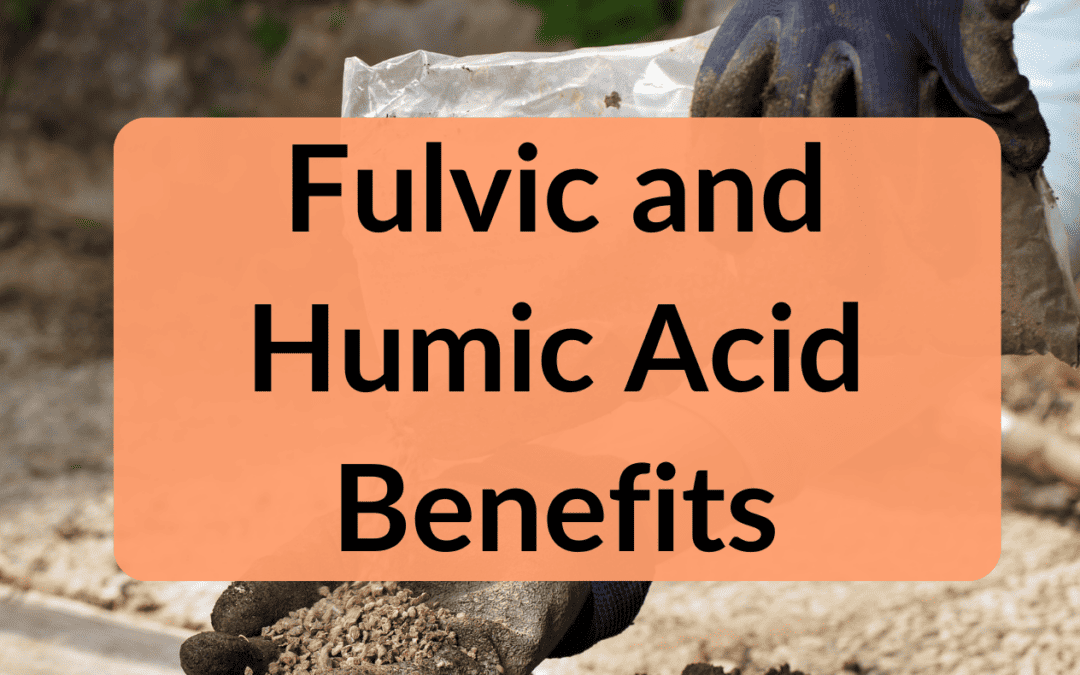 Fulvic acid Benefits