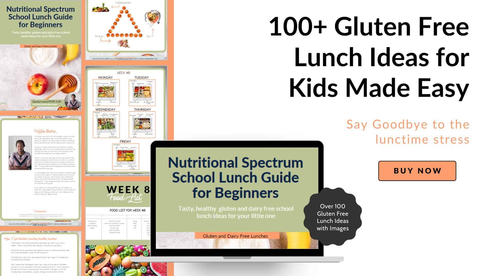 gluten free school lunches for kids